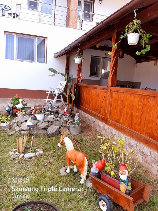 Casa Trache Calimanesti Exterior foto