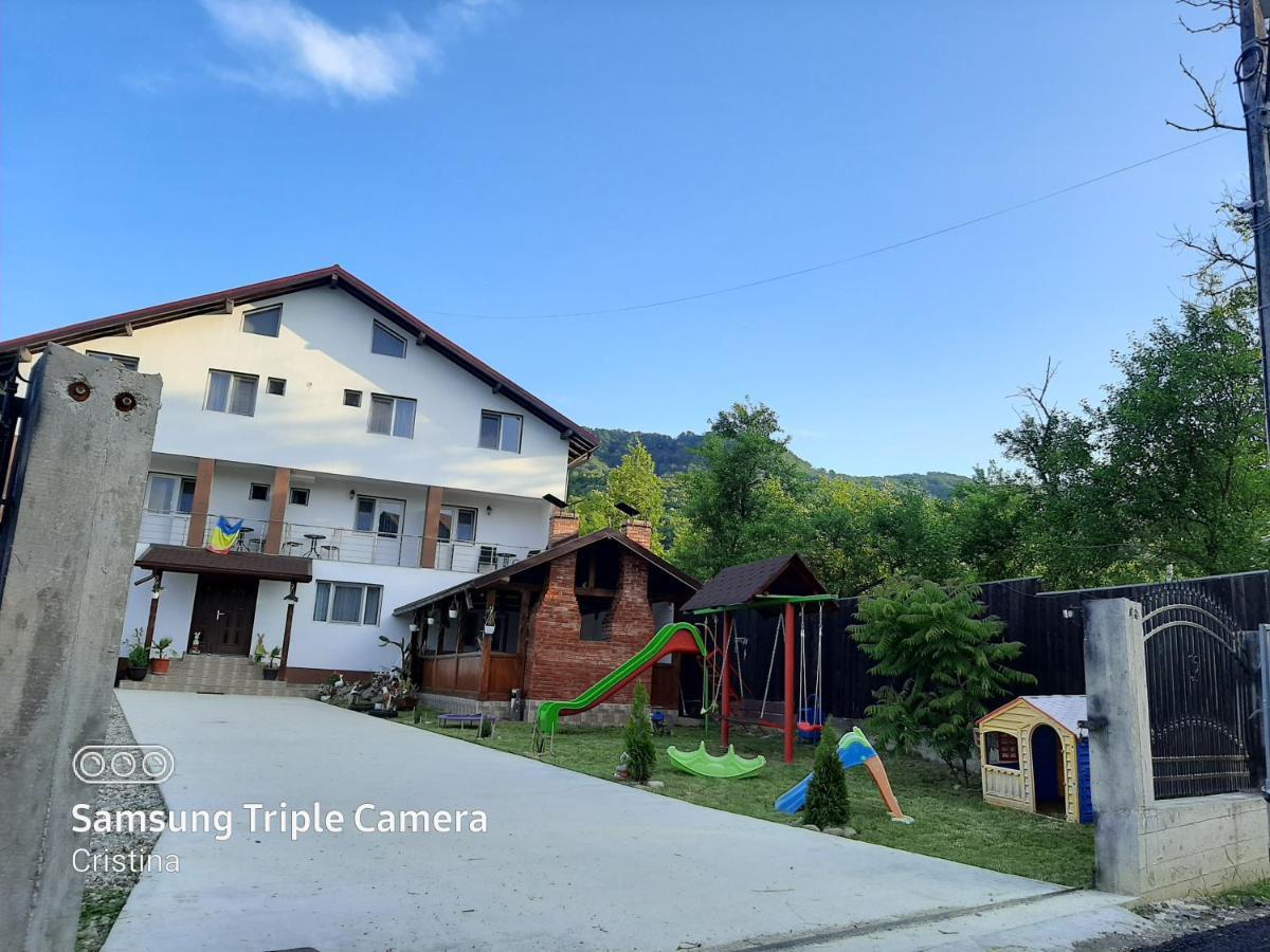 Casa Trache Calimanesti Exterior foto