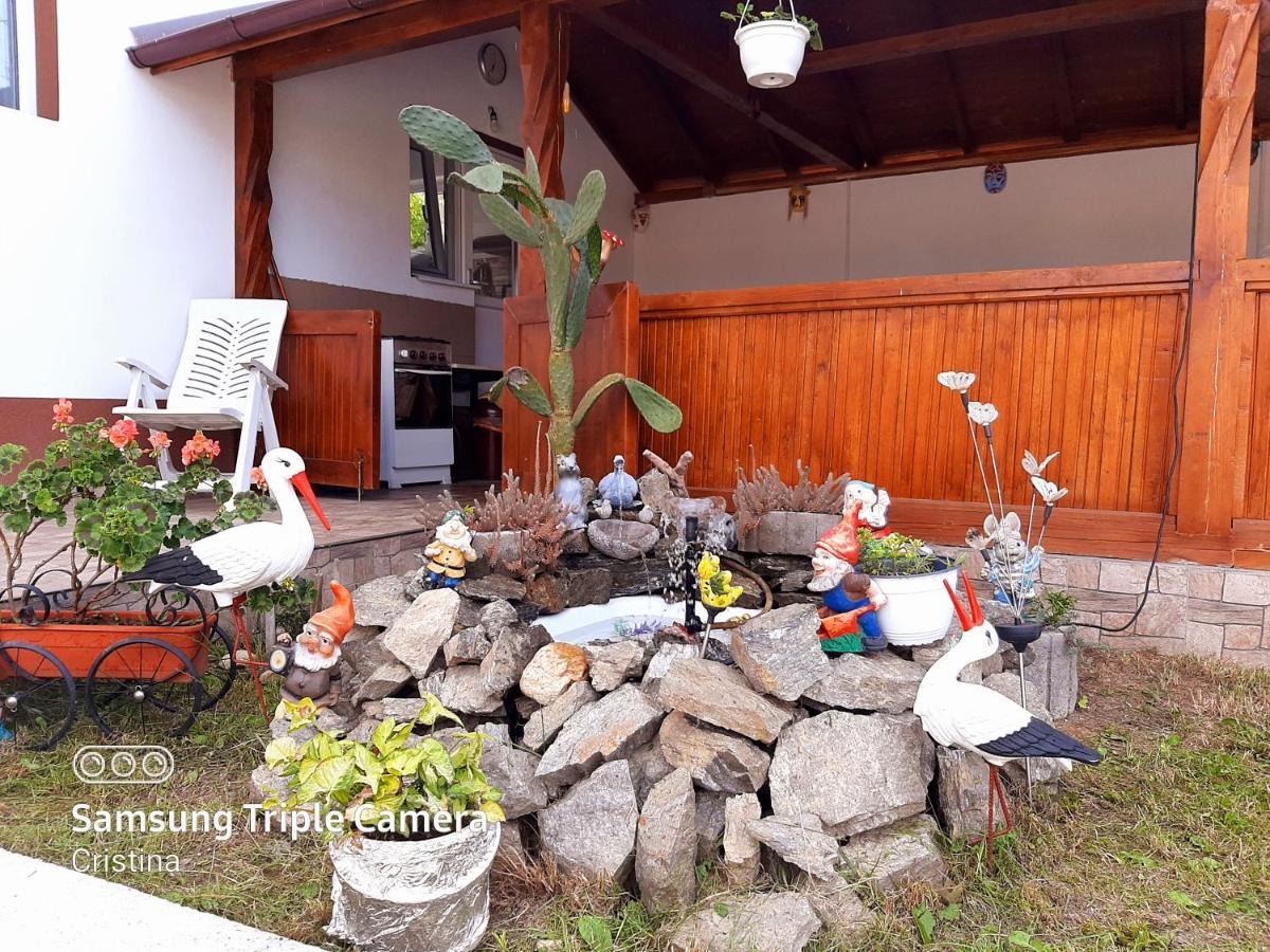 Casa Trache Calimanesti Exterior foto
